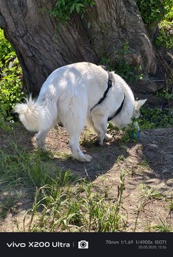 IMG_20250520_122612.jpg