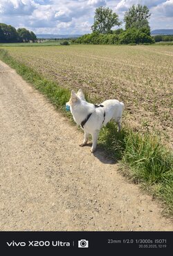 IMG_20250520_121954.jpg
