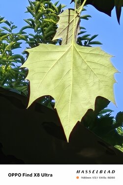 IMG20250520084127.jpeg