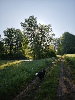 IMG_20250520_074524.jpg