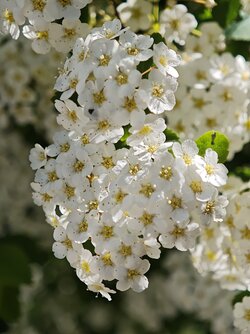 MVIMG_20250512_111347.jpg