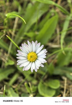 IMG_20250511_145903.jpg