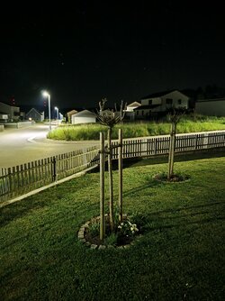 IMG_20250520_203315.jpg