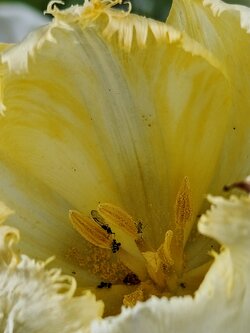 IMG20250520193508~2.jpg