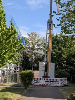 PXL_20250520_151117575.jpg