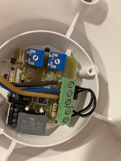 PXL_20250502_103334217.jpg