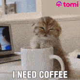 .animated_1747825730964.gif