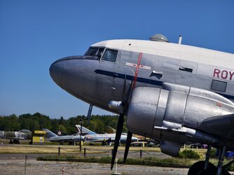 IMG_20250521_110839.jpg