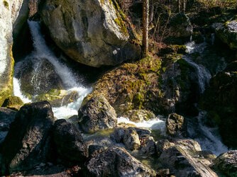 IMG_20250403_101811-2-2.jpg