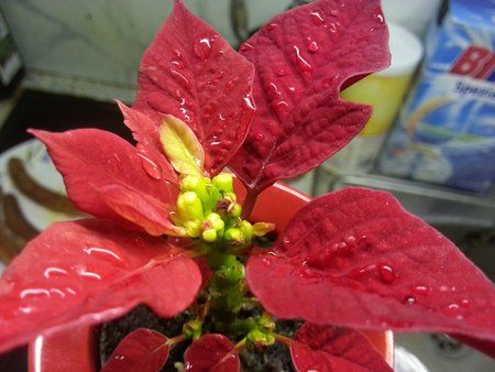 20121205_201420.jpg