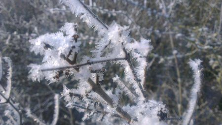 2013-01-15 10.52.30.jpg