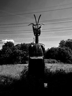 20250520_110339~3.JPG