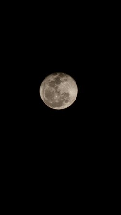 20250414_213116.jpg