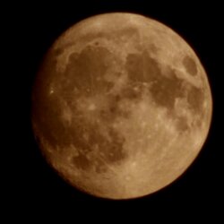 20240719_220536.jpg