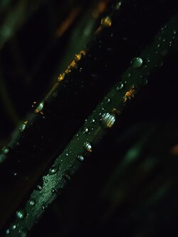 IMG20250521222623.jpg