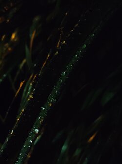 IMG20250521222611.jpg