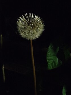 IMG20250522000914~2.jpg