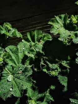 IMG20250522002426~2.jpg