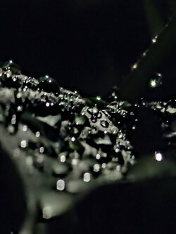 IMG20250522002030~2.jpg