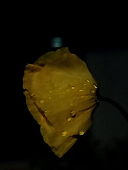 IMG20250522001605~2.jpg