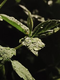 IMG20250521233808.jpg