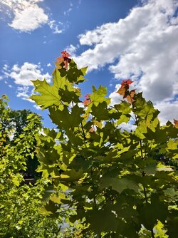 IMG_20250515_141651.jpg