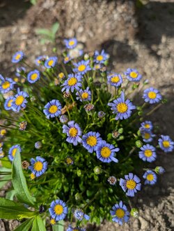 PXL_20250522_163255386.jpg