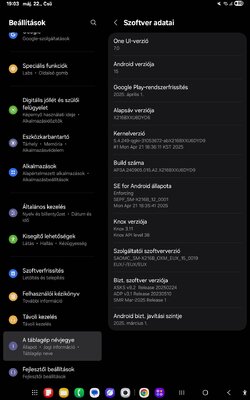 Screenshot_20250522_190324_Settings.jpg