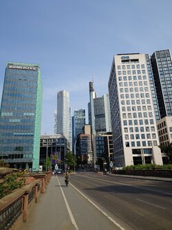 20250521_094131.JPG