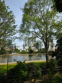 20250521_093442.JPG