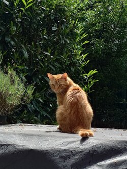20250522_124019.JPG