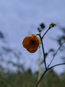 IMG20250522205557~2.jpg