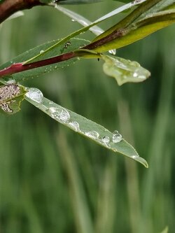 IMG20250522203746~2.jpg