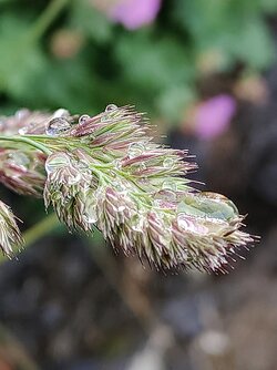 IMG20250522203910~2.jpg