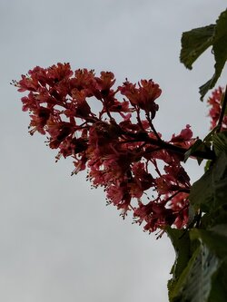 IMG20250522202354~2.jpg