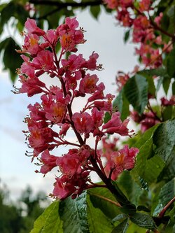 IMG20250522202317~2.jpg