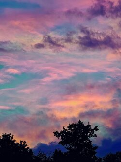 IMG20250522210217~3.jpg