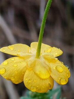 IMG20250522204652~2.jpg