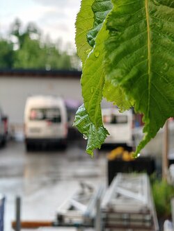 IMG20250522202343~2.jpg