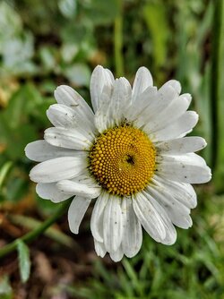 IMG20250523174354~2.jpg
