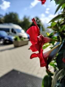 IMG20250523180634~2.jpg