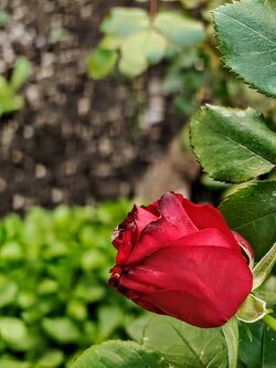 IMG20250523182054~2.jpg