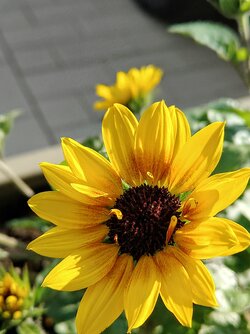 IMG20250523180644~2.jpg