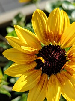IMG20250523180649~2.jpg