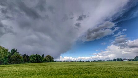 Der geteilte Himmel.jpeg