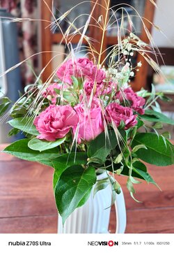 IMG_20250524_091043.jpg