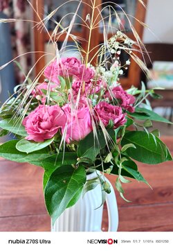 IMG_20250524_091041.jpg