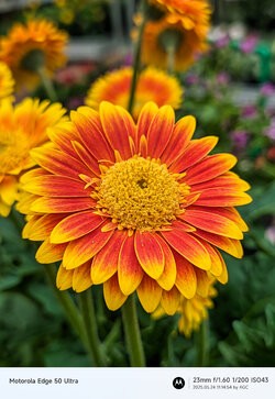 Gcam20250524_111454385.jpg