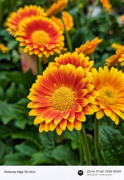 Gcam20250524_111444711.jpg