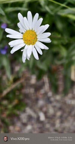 IMG_20250522_114206.jpg